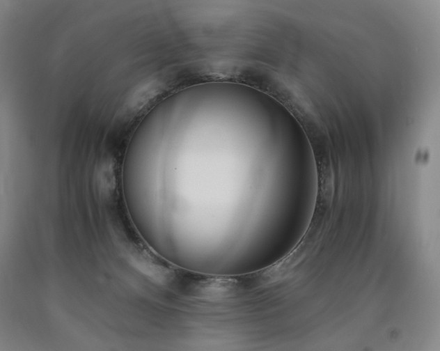 X0000090860128200707271237