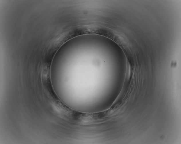 X0000090860129200707271237