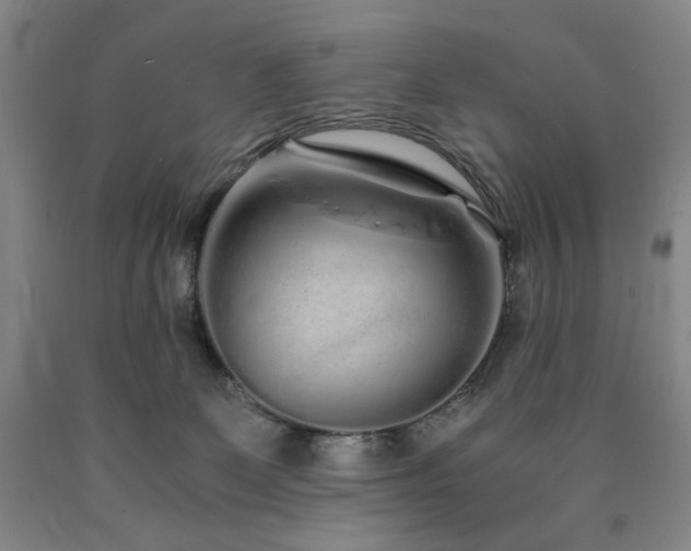 X0000090860131200707271237