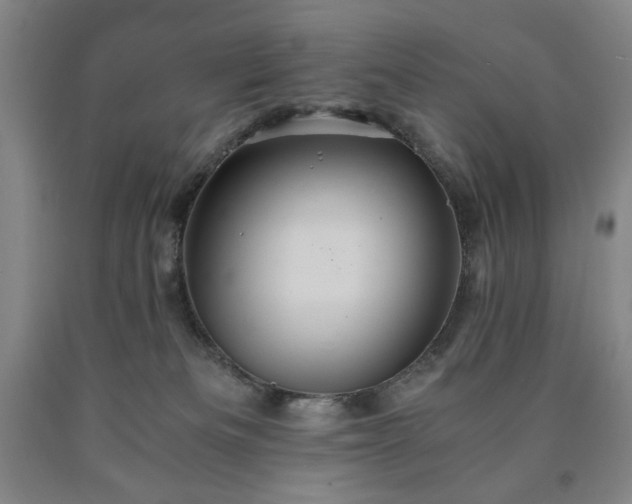 X0000090860133200707271237