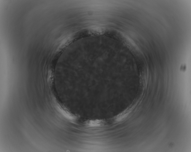 X0000090860134200707271237
