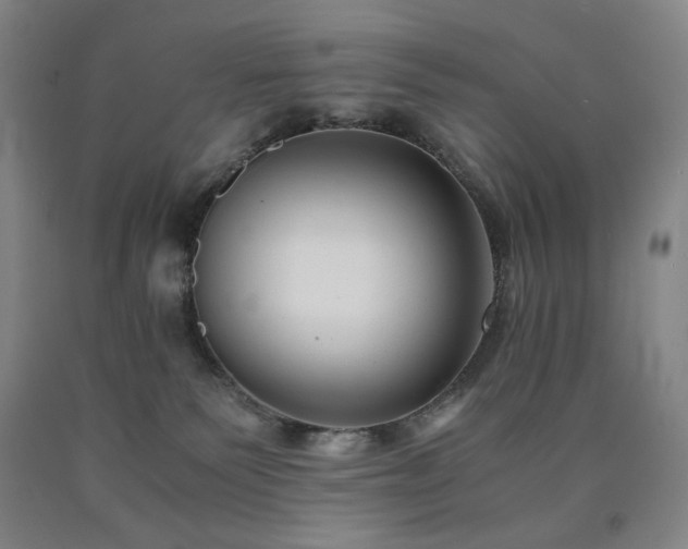 X0000090860135200707271237