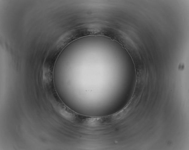 X0000090860136200707271237