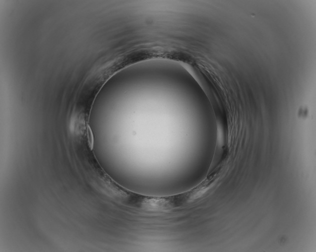 X0000090860137200707271237