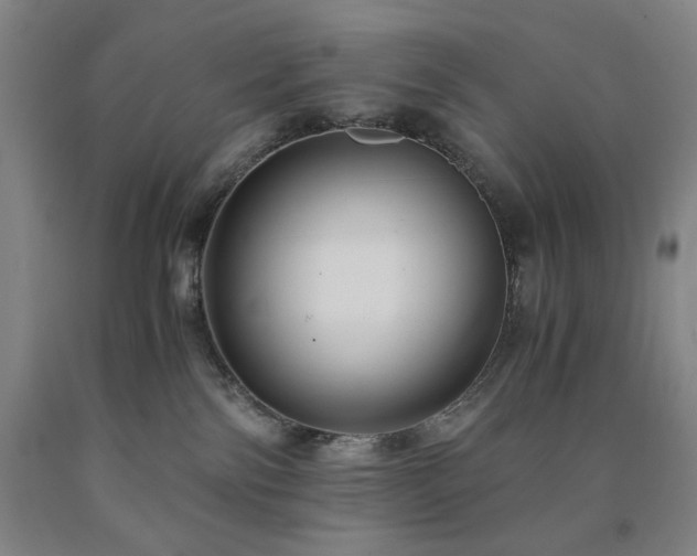 X0000090860138200707271237