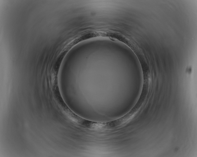 X0000090860139200707271237