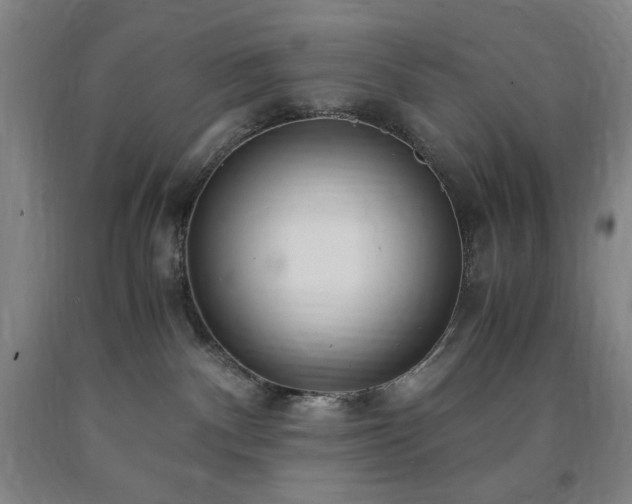 X0000090860140200707271237