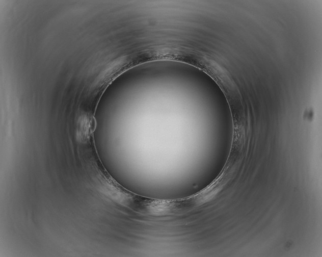X0000090860142200707271237