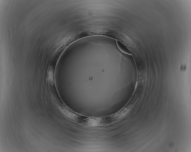X0000090860143200707271237