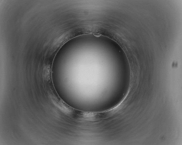 X0000090860144200707271237