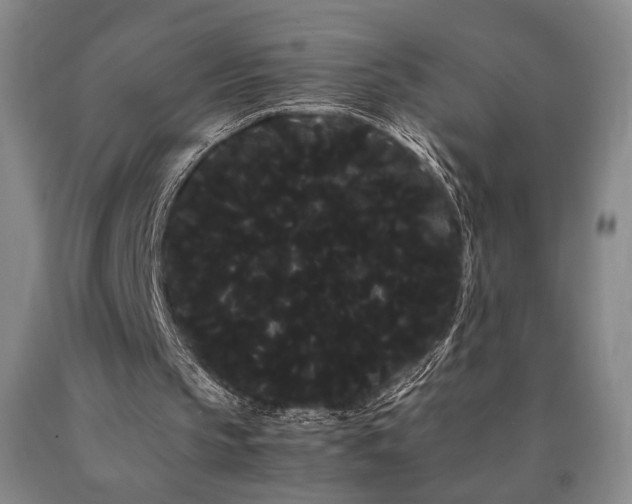 X0000090860145200707271236