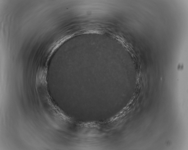 X0000090860146200707271236