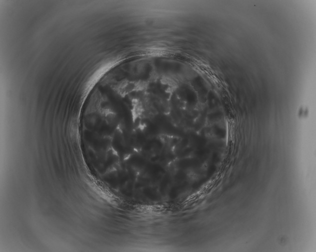 X0000090860147200707271236