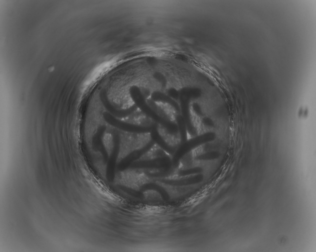 X0000090860149200707271236