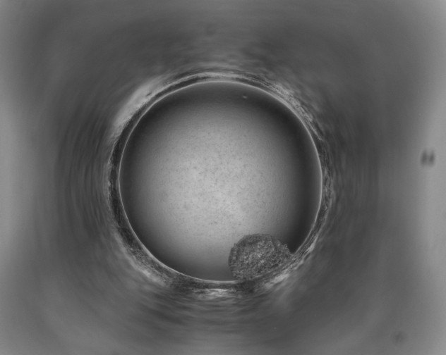 X0000090860151200707271236