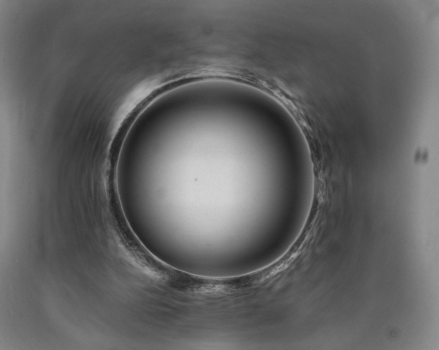 X0000090860152200707271236
