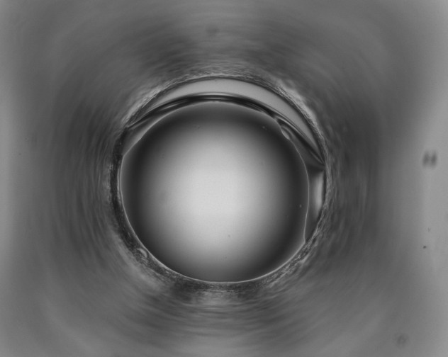 X0000090860154200707271236