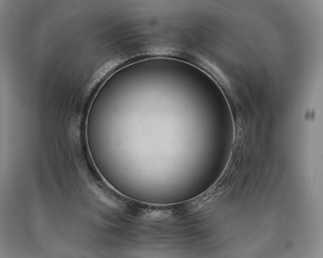 X0000090860155200707271236