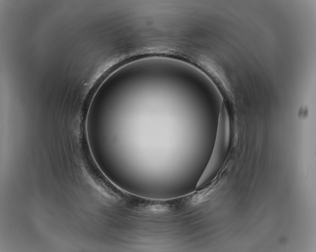 X0000090860156200707271236
