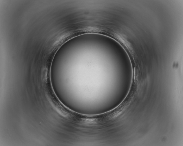 X0000090860157200707271236