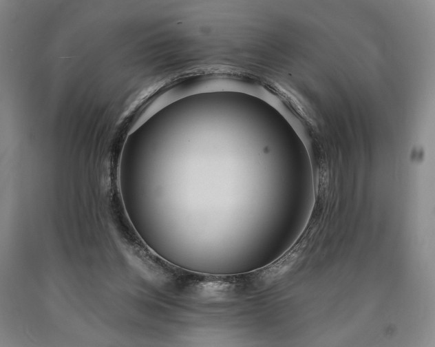 X0000090860158200707271236