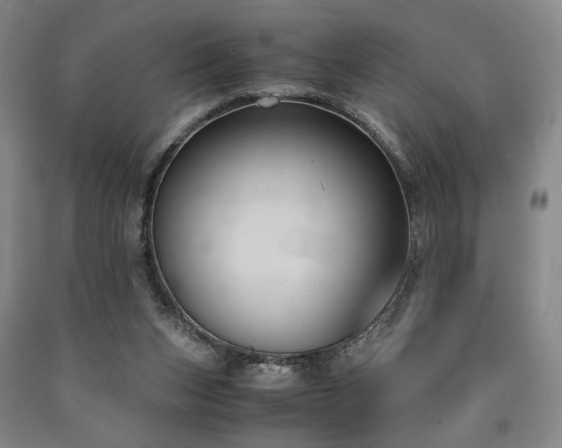 X0000090860159200707271236