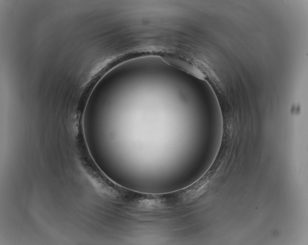 X0000090860160200707271236