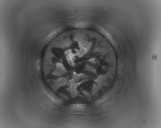 X0000090860161200707271236