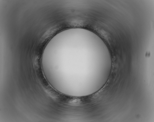 X0000090860162200707271236