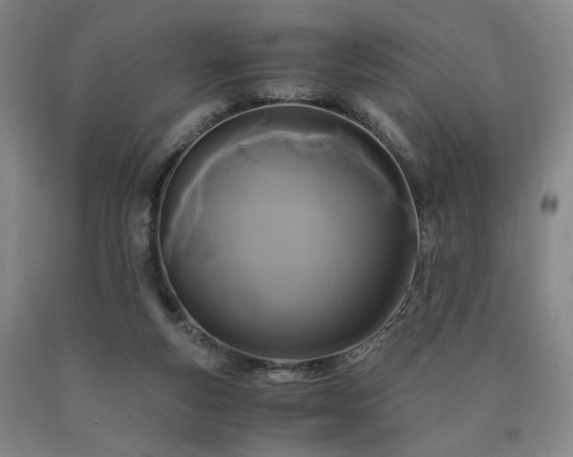 X0000090860163200707271236