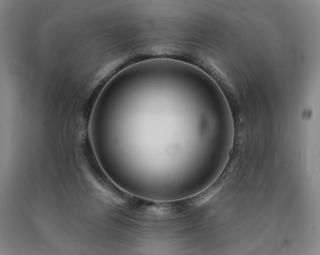 X0000090860164200707271236