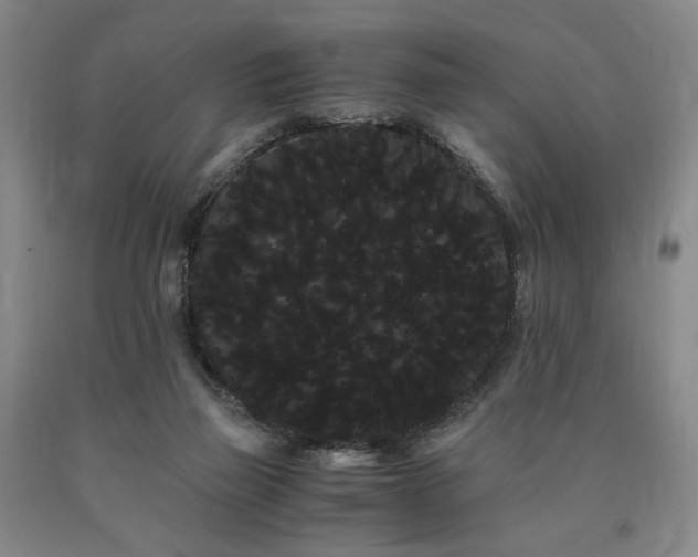 X0000090860165200707271236