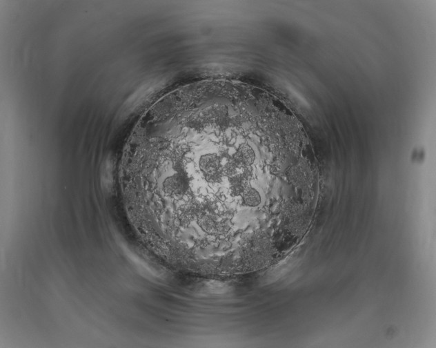 X0000090860166200707271236