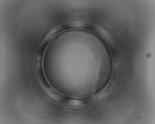 X0000090860167200707271236