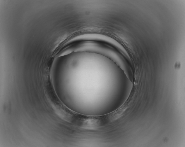 X0000090860168200707271236