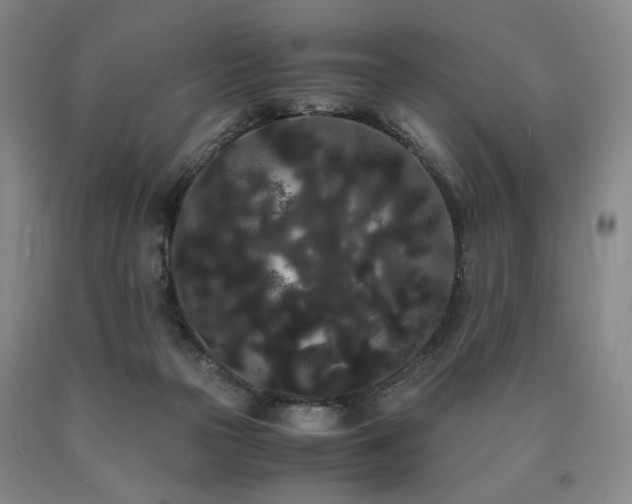 X0000090860169200707271236