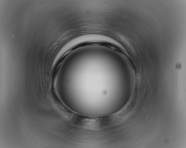 X0000090860170200707271236