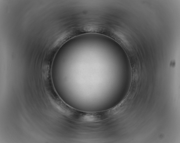 X0000090860171200707271236