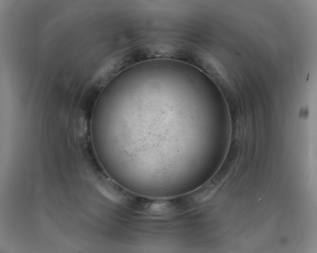 X0000090860173200707271236