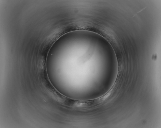 X0000090860174200707271236