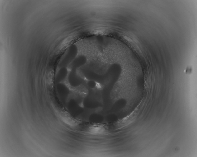 X0000090860175200707271236