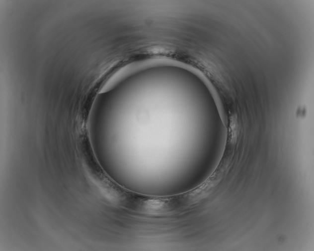 X0000090860176200707271236