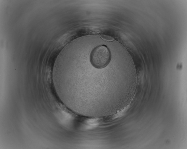 X0000090860178200707271236