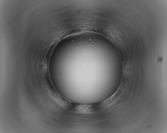 X0000090860179200707271236