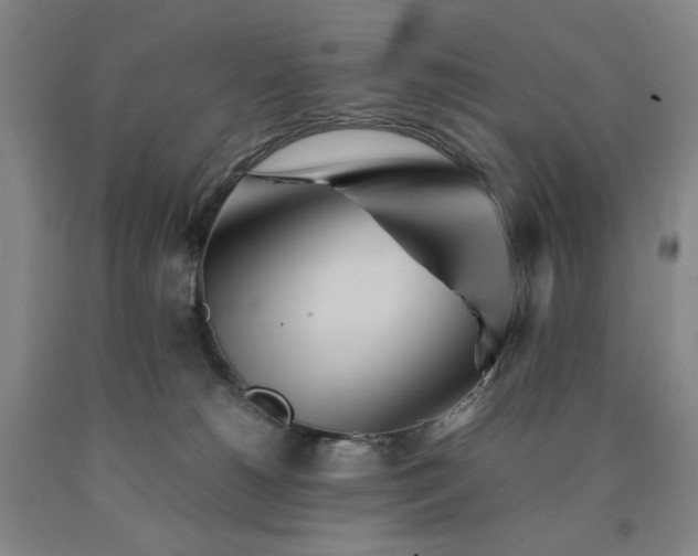 X0000090860180200707271236