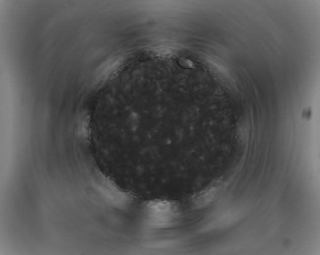 X0000090860181200707271236