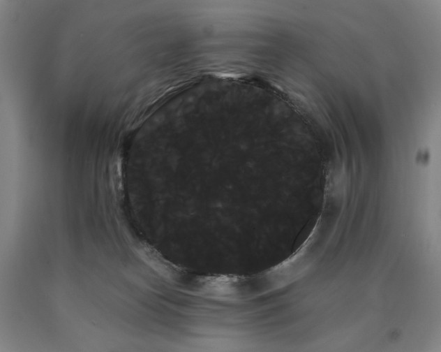 X0000090860182200707271236