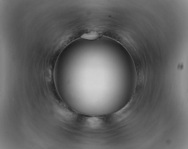 X0000090860183200707271236