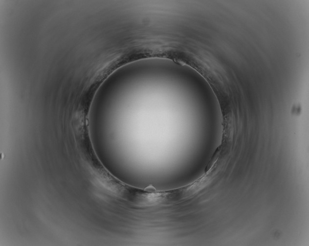 X0000090860184200707271237
