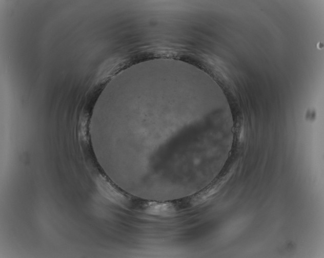 X0000090860185200707271237